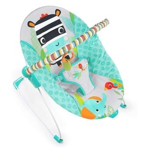 Vibrating Bouncer • New in Box! •